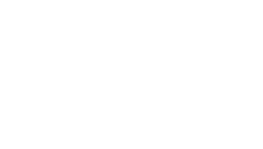 HBI Commercial Academy